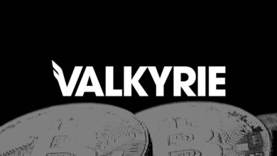 شركة Valkyrie