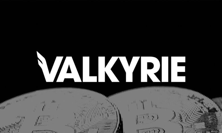 شركة Valkyrie