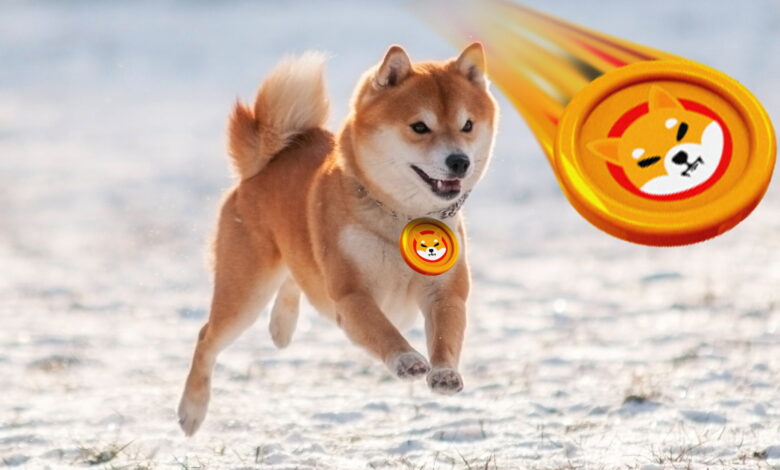 ما هو سبب ارتفاع عناوين Shiba Inu؟