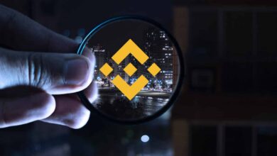 Binance Coin BNB ATH 550