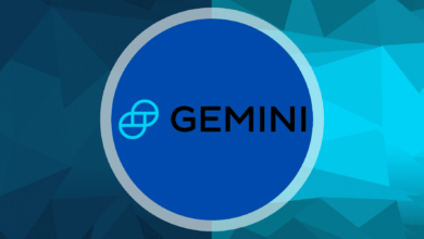 منصة Gemini تكشف عن خطة استثمارية ضخمة في بلد أسيوي.. فما هو؟