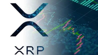 ثلاثة أسباب يمكن أن تؤدي إلى انفجار عملة XRP هذا العام.. فماهي؟