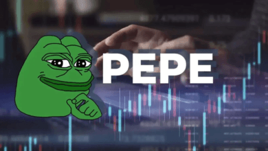 عملة PEPE