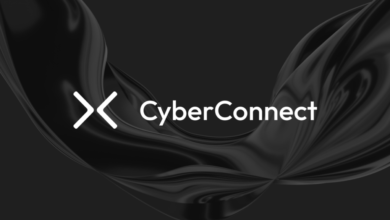 CyberConnect