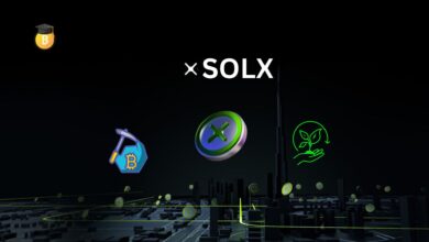 عملة SOLX الرقمية