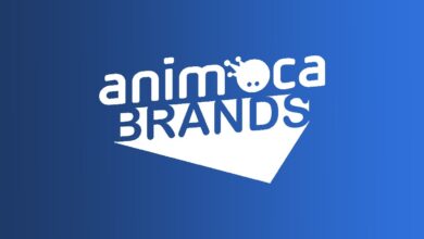 شركة animoca brands
