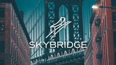 شركة skybridge