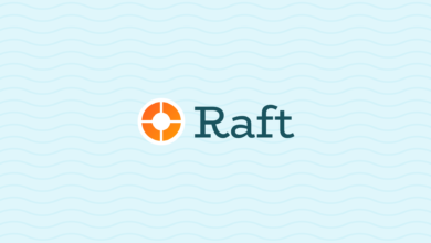 عملة RAFT الرقمية