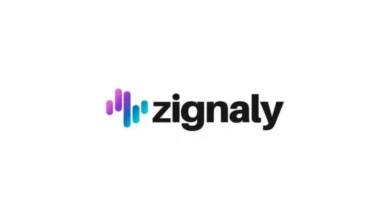 عملة ZIG الرقمية