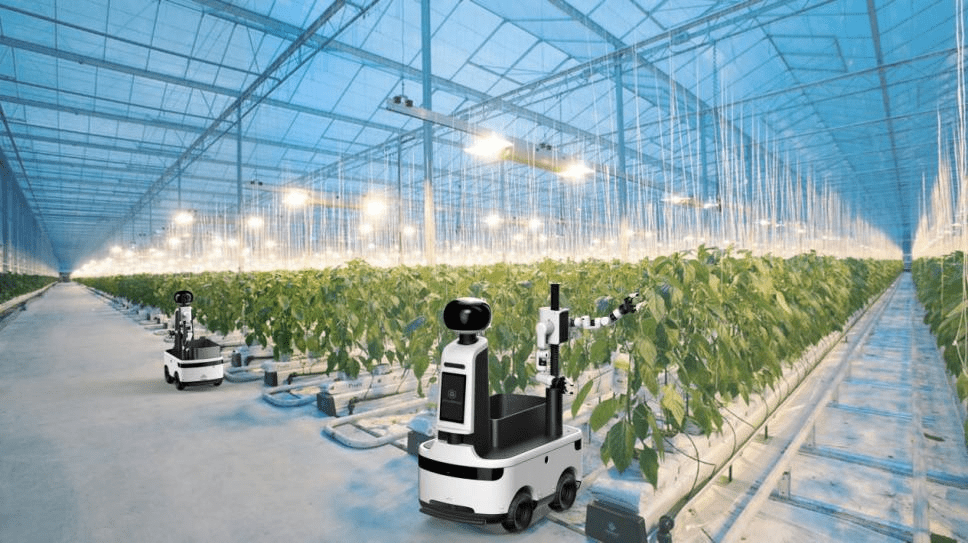 اليابان: روبوتات الذكاء الاصطناعي تحقق طفرة في قطاع الزراعة