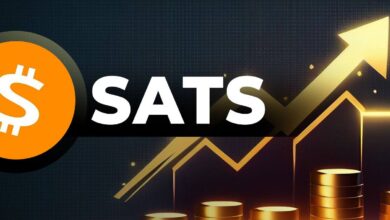 عملة SATS الرقمية