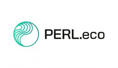 عملة PERL الرقمية