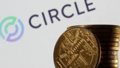 شبكة العملات المستقرة Circle