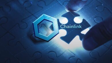 Chainlink LINK On Chain Metrics