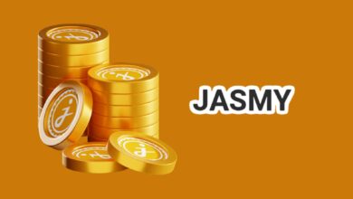 ما هي أبرز التوقعات لسعر عملة JASMY خلال السنوات القادمة؟