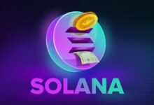 العملات الميمية على منصة سولانا تتكبد أسوأ الخسائر في ظل انهيار سوق التشفير