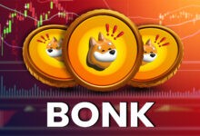 BONK تواجه انخفاضا حادا مع خروج المستثمرين من السوق