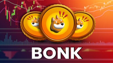 BONK تواجه انخفاضا حادا مع خروج المستثمرين من السوق