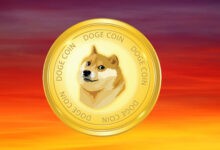 DOGE 16