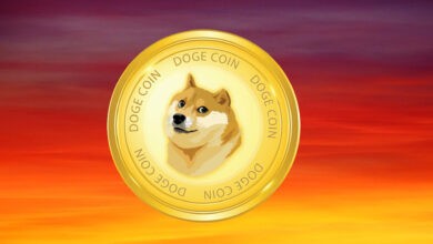 DOGE 16