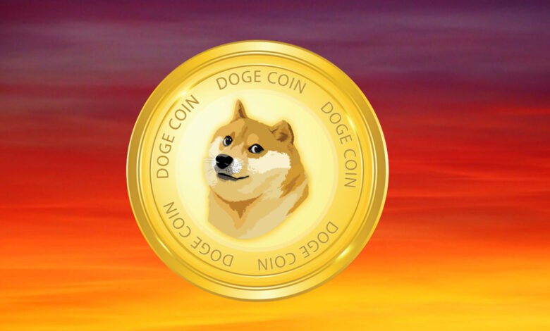 DOGE 16