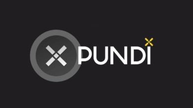 PUNDIX