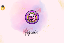 عملة Pigcoin