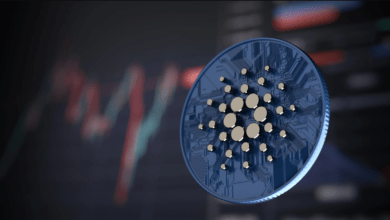 Cardano تطلق إصدارات جديدة تتنبأ بترقية رئيسية للشبكة