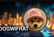 كوينبيس تحتضن عملة Dogwifhat الميمية على شبكة سولانا