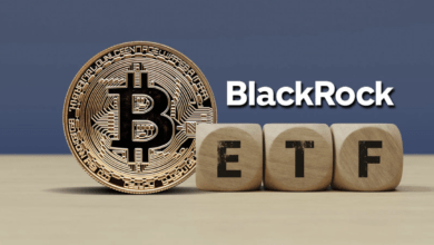 صندوق BlackRock المتداول للبيتكوين ETF يحقق إنجازاً هاماً بعد سلسلة تدفقات يومية