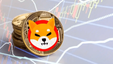 توقعات سعر عملة SHIB ليوم 24 إبريل