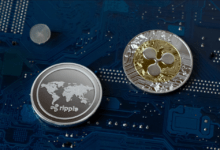 مدير التكنولوجيا في شركة Ripple يكشف عن تركيزه على مدفوعات الأعمال