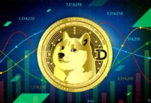 DOGE trends and price predictions: What you should know