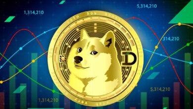 DOGE trends and price predictions: What you should know