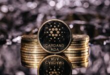 ارتفاع عملة كاردانو يضيف 1.7 مليار دولار إلى قيمتها السوقية