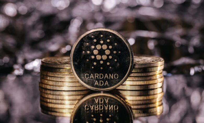 ارتفاع عملة كاردانو يضيف 1.7 مليار دولار إلى قيمتها السوقية