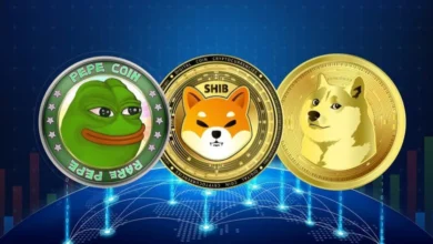 عملات DOGE و SHIB و PEPE الرقمية