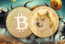 عملة DOGE الرقمية