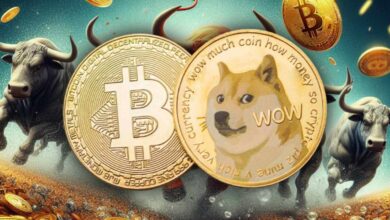 عملة DOGE الرقمية