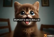 Solana-based POPCAT price prediction: After 482% boom, is $0.66 on the way?