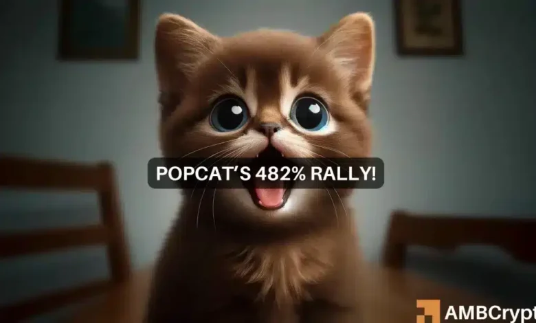 Solana-based POPCAT price prediction: After 482% boom, is $0.66 on the way?