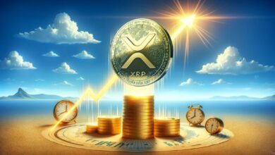 عملة XRP تقفز إلى أعلى مستوى على الإطلاق في عناوين محافظ المليونيرات