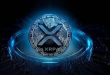XRP تظهر مرونة مذهلة في ظل تراجع ضغط الأسواق
