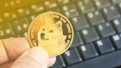 ارتفاع حجم عملة الدوجكوين (DOGE) بنسبة 71%: ما الذي يحدث؟