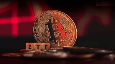 تدفقات صناديق ETFs تصل إلى 500 مليون دولار: والمحللون يتحدثون عن أسوأ يوم على الإطلاق