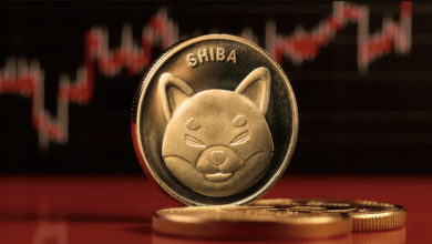 تحليل Shiba Inu: هل يمكن أن يحدث اختراق كبير في حركة سعر SHIB؟