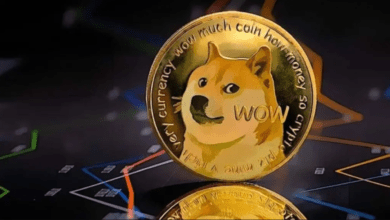 ارتفاع حجم عملة الدوجكوين (DOGE) بنسبة 71%: ما الذي يحدث؟