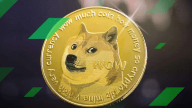 توقعات سعرعملة الدوجكوين DOGE ليوم 22 مايو