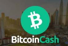 البيتكوين كاش BCH تستعد لانطلاقة كبيرة بدعم من الحيتان وتحفيز الزخم الصعودي