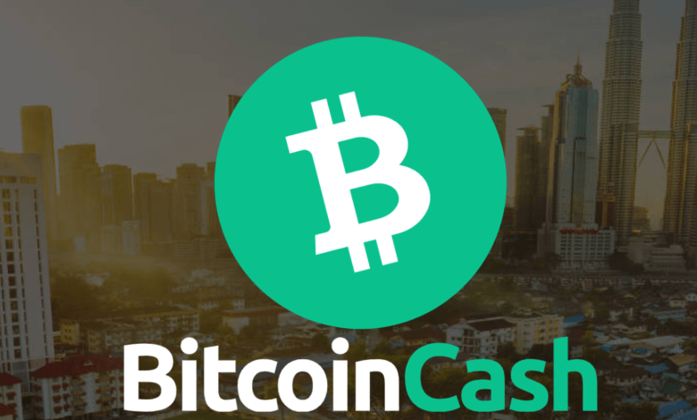 البيتكوين كاش BCH تستعد لانطلاقة كبيرة بدعم من الحيتان وتحفيز الزخم الصعودي